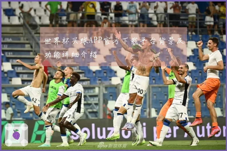 世界杯买球APP官方下载平台背景及功能详细介绍